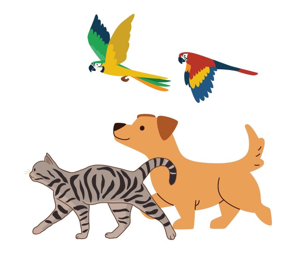 Illustration of a pet parade with two parrots, a cat, and a dog